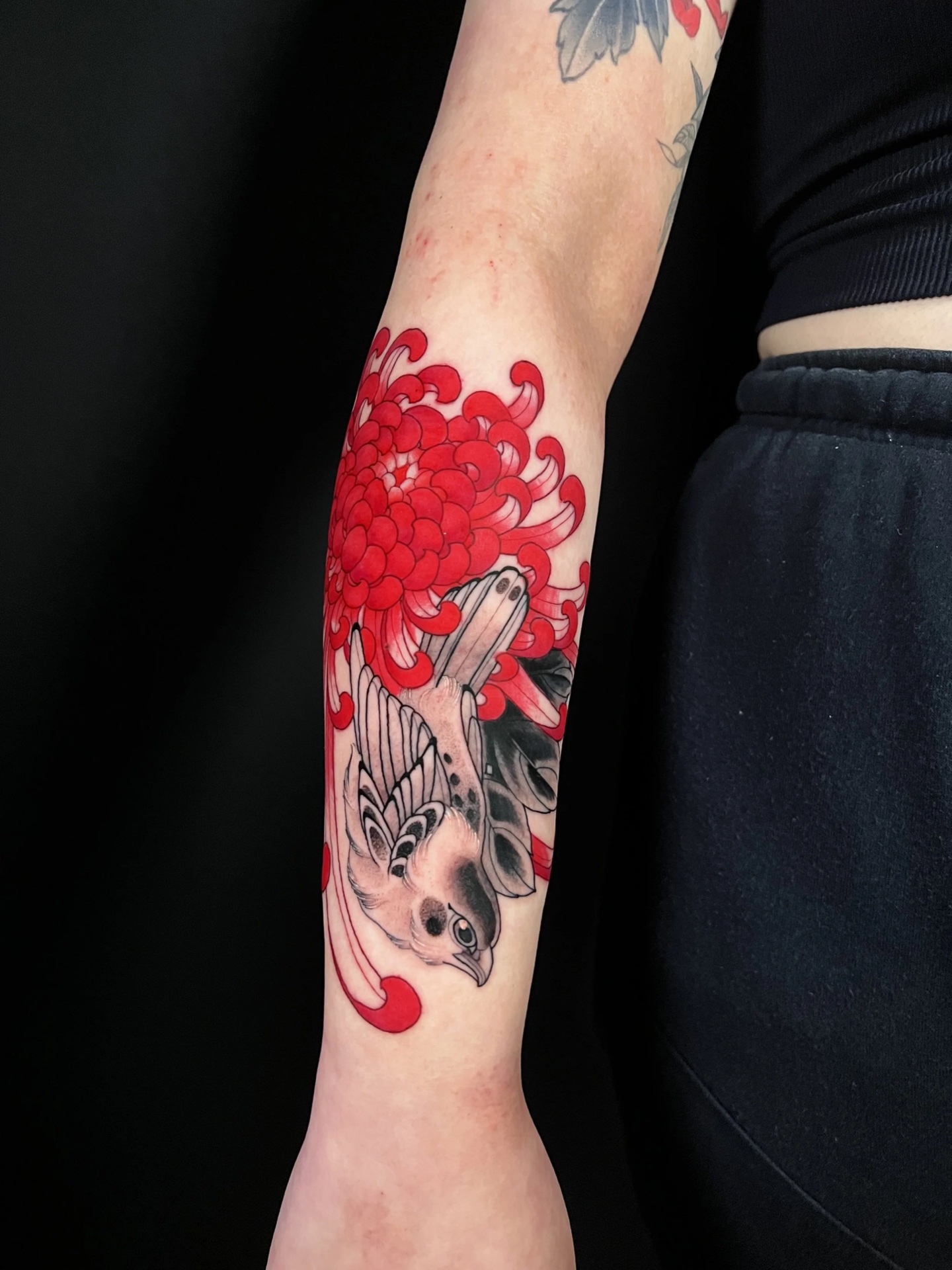 Red chrysanthemum and bird forearm tattoo by Levi Taylor