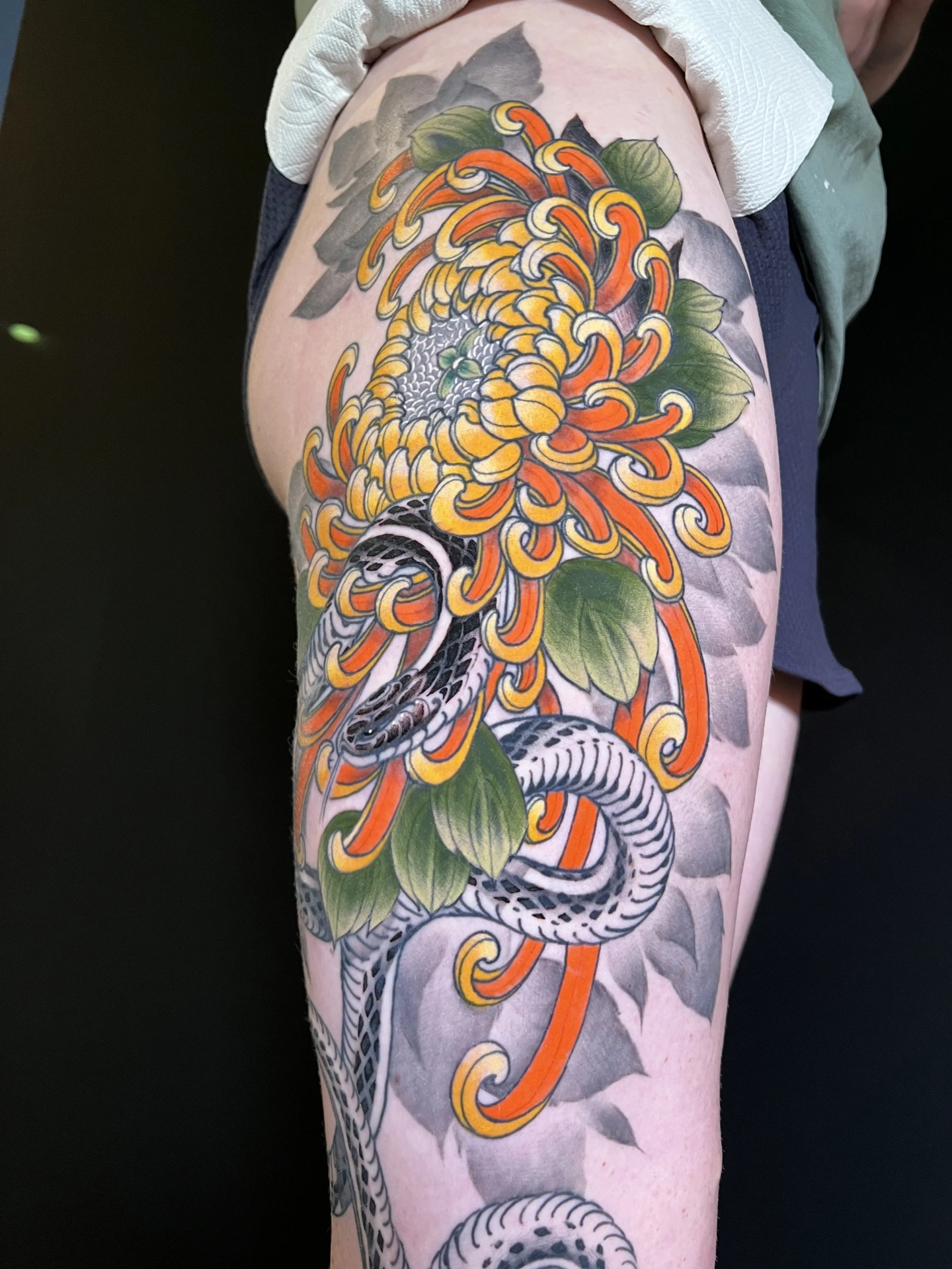 Chrysanthemum and snake colour leg by Levi Taylor, NEST Studio Melbourne