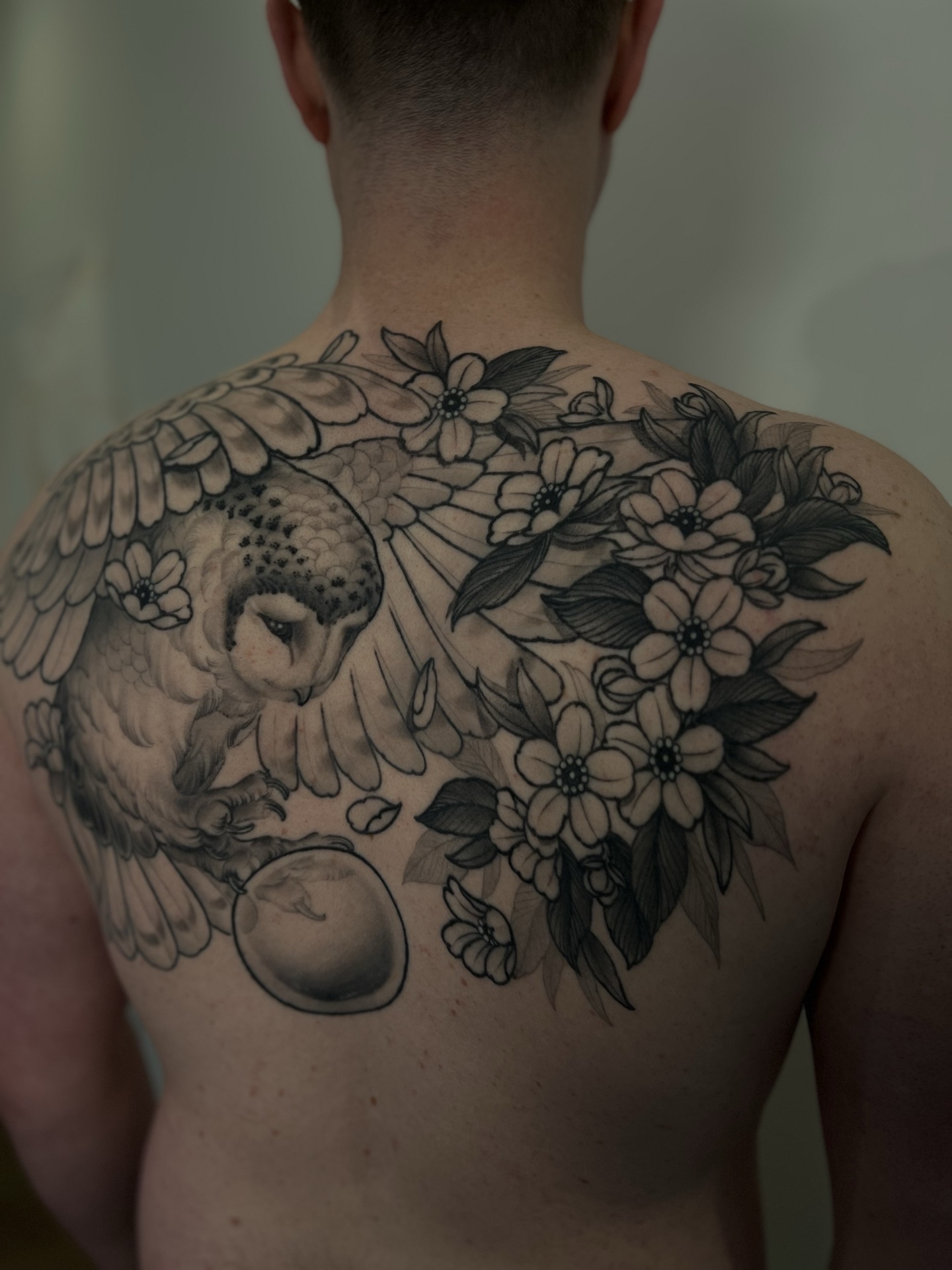 Black and grey owl and cherry blossom backpiece by Levi Taylor, NEST Studio Melbourne